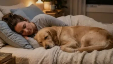 O que acontece quando os cães dormem dentro de casa?
