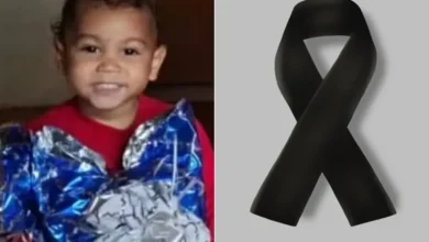 Polícia e Conselho Tutelar detalham medidas de amparo à criança de 3 anos após o ocorrido