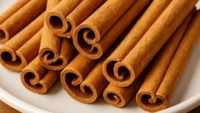 Queime um pau de canela por alguns minutos e descubra por que tanta gente está fazendo isso em casa