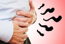 Saiba por que o intestino faz barulho e quando se preocupar