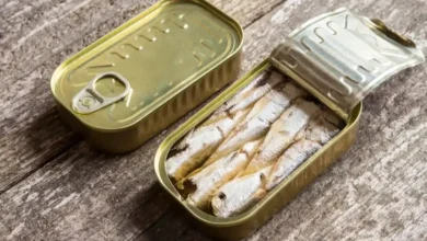 Sardinha em Lata Faz Bem? Veja o Que Especialistas Explicam Sobre Esse Alimento Tão Popular
