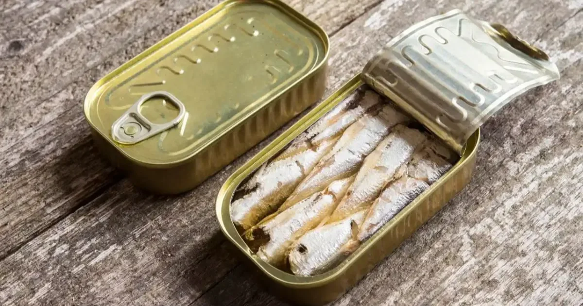 Sardinha em Lata Faz Bem? Veja o Que Especialistas Explicam Sobre Esse Alimento Tão Popular