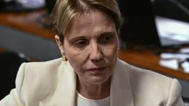 Tereza Cristina recusa convite do PL e adia definição de vice de Flávio