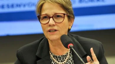Tereza Cristina sinaliza apoio e aceita ser vice de Flávio Bolsonaro