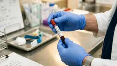 Tipo sanguíneo pode influenciar a longevidade? O que a ciência descobriu até agora