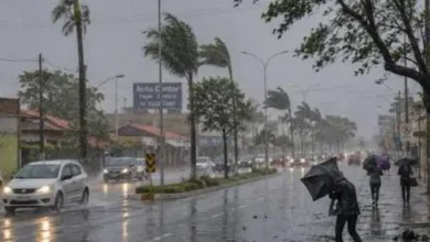 Ventania forte pelo país causa onda de destruição e até óbitos confirmados