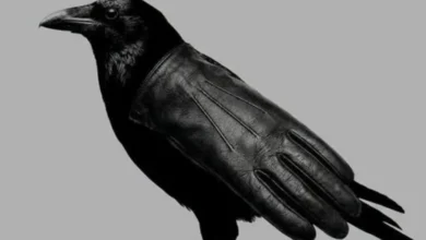 A primeira coisa que você vê nesta imagem pode revelar traços curiosos da sua personalidade