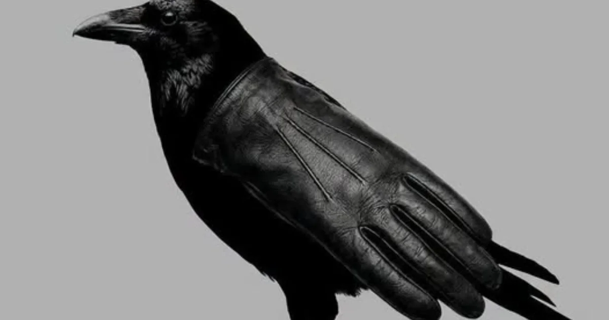 A primeira coisa que você vê nesta imagem pode revelar traços curiosos da sua personalidade