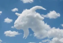 A primeira figura que você viu pode dizer algo sobre sua forma de perceber o mundo