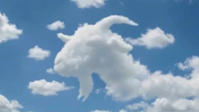 A primeira figura que você viu pode dizer algo sobre sua forma de perceber o mundo