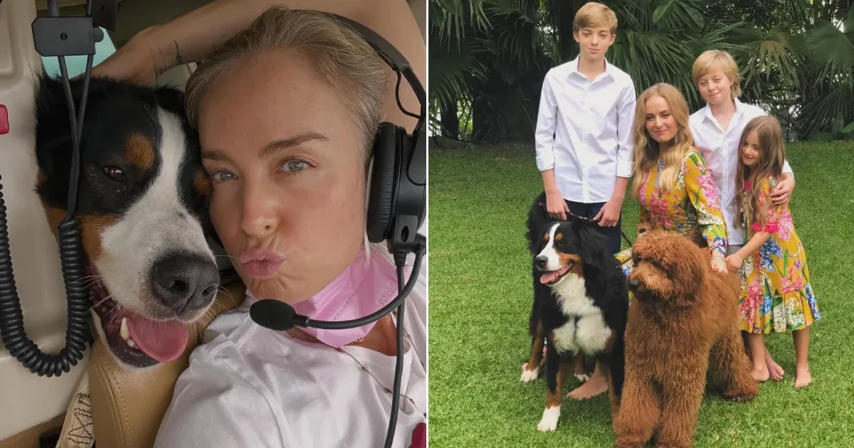 Angélica se despede do cachorro Obama e emociona fãs: “Dói… dói muito”