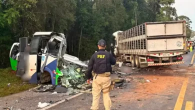 Colisão frontal entre micro-ônibus e carreta deixa 23 mortos na BR-373