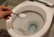 Colocar sal no vaso sanitário à noite funciona?