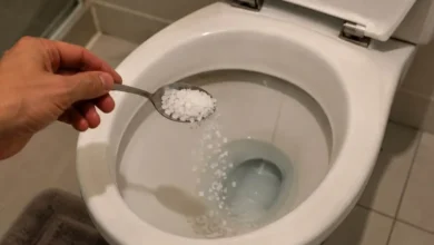 Colocar sal no vaso sanitário à noite funciona?