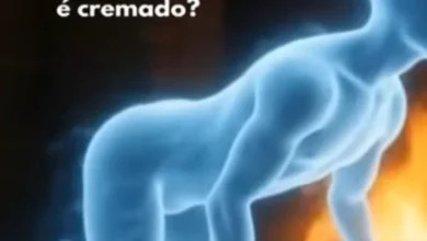 Cremação e a alma: o que diferentes crenças dizem sobre o destino após a morte
