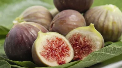 Descubra os benefícios do figo, como a fruta pode contribuir para a saciedade
