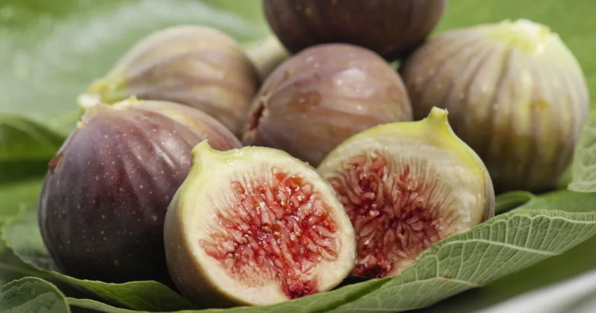 Descubra os benefícios do figo, como a fruta pode contribuir para a saciedade