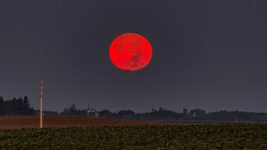 Eclipse lunar promete espetáculo para quem estiver no Brasil