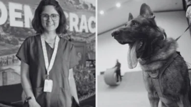 Falece veterinária de 36 anos atacada por cão do Senado Federal
