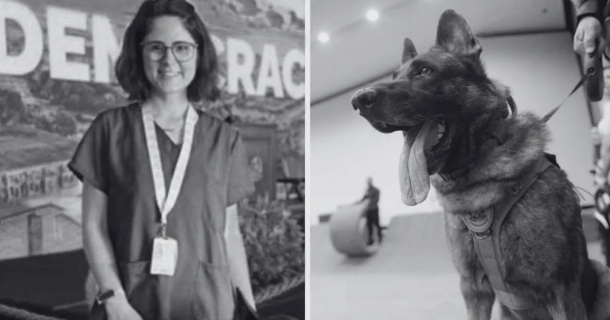 Falece veterinária de 36 anos atacada por cão do Senado Federal