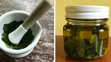 Folhas de louro em um pote: o antigo truque caseiro que voltou a chamar atenção