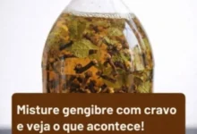 Gengibre com Cravo: combinação aromática que chama atenção e pode render uma bebida especial