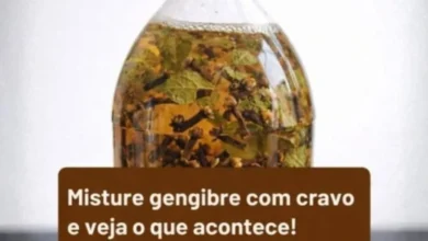 Gengibre com Cravo: combinação aromática que chama atenção e pode render uma bebida especial