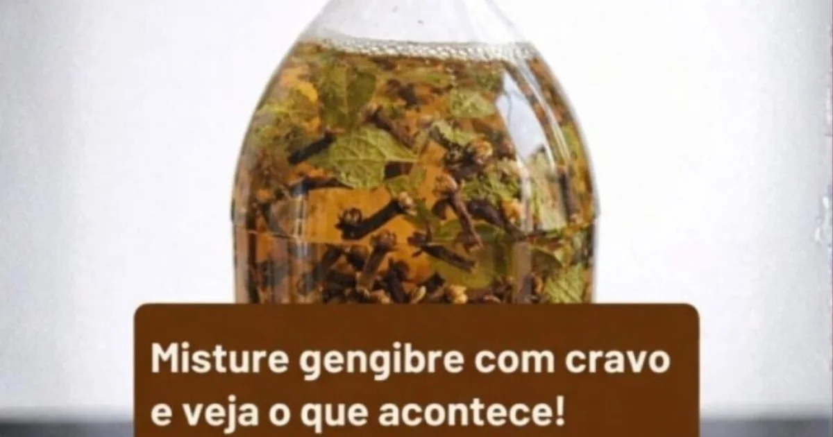 Gengibre com Cravo: combinação aromática que chama atenção e pode render uma bebida especial