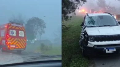 Irmãos de 7 e 14 anos morrem atropelados em grave acidente na BR-470, em SC