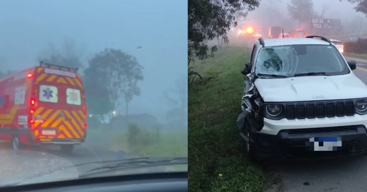 Irmãos de 7 e 14 anos morrem atropelados em grave acidente na BR-470, em SC