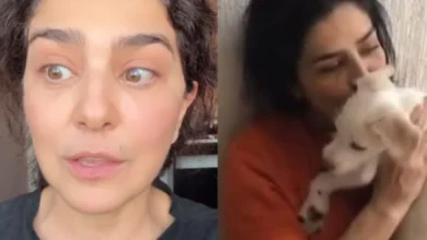 Justiça determina devolução de cachorro de Letícia Sabatella após adoção sem autorização