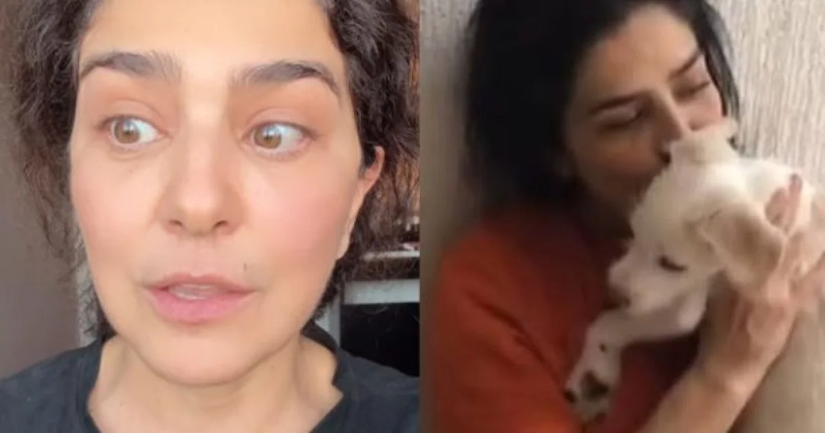 Justiça determina devolução de cachorro de Letícia Sabatella após adoção sem autorização