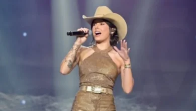 Momento inesperado de Ana Castela no meio do público