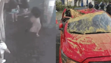 Mulher fica desesperada ao ver carro esmagado com marido e filho dentro
