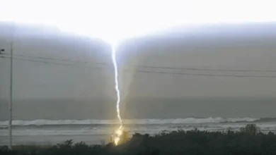 Mulher perde a vida enquanto se divertia na praia.