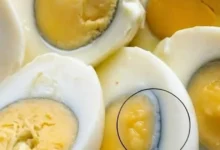 Ovo com anel verde na gema chama atenção; descubra a explicação