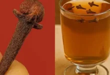 Poucos cravos e água: essa infusão simples está despertando a curiosidade de muita gente