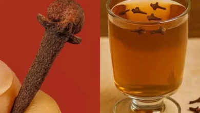 Poucos cravos e água: essa infusão simples está despertando a curiosidade de muita gente