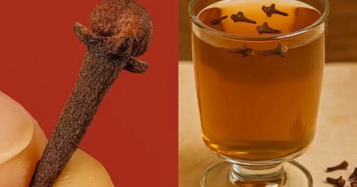 Poucos cravos e água: essa infusão simples está despertando a curiosidade de muita gente