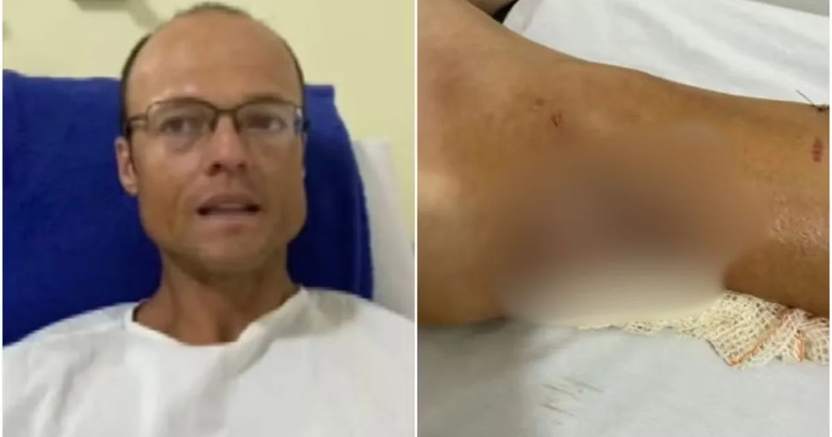 Quatro pessoas são condenadas a indenizar triatleta após ataque de pitbulls