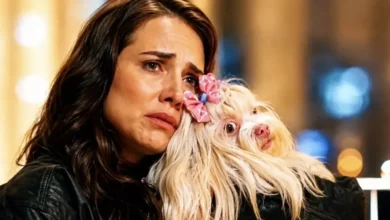 Quem Ama Cuida: descoberta inacreditável muda de vez a vida de Adriana