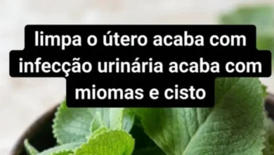 Receita caseira promete “limpar o útero”, mas cuidados com a saúde feminina exigem atenção