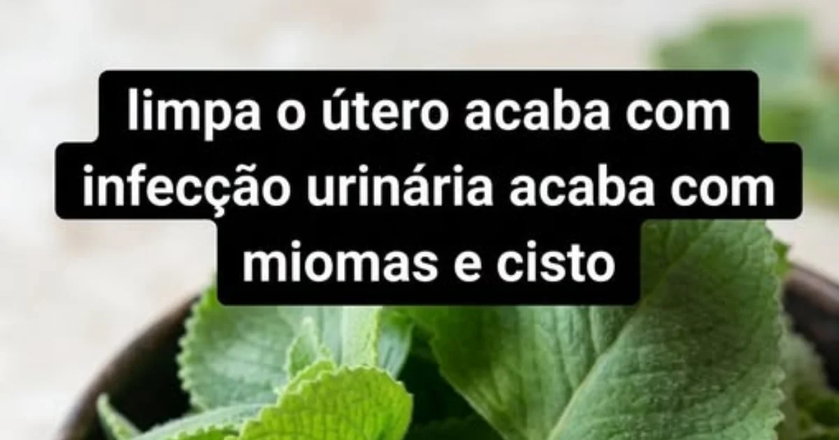 Receita caseira promete “limpar o útero”, mas cuidados com a saúde feminina exigem atenção
