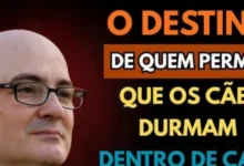 Sacerdote faz alerta sobre cães dormindo dentro de casa e declaração chama atenção nas redes sociais