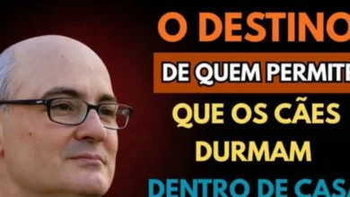 Sacerdote faz alerta sobre cães dormindo dentro de casa e declaração chama atenção nas redes sociais