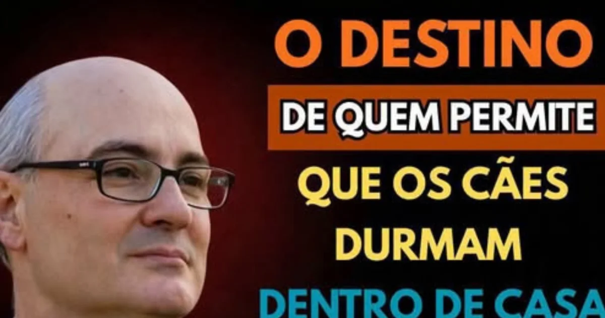 Sacerdote faz alerta sobre cães dormindo dentro de casa e declaração chama atenção nas redes sociais
