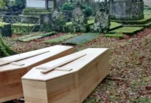 Sonhar com alguém que já faleceu pode revelar sentimentos