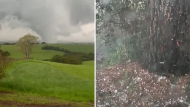 Ventania ainda preocupa moradores do Sul e Sudeste neste sábado; veja onde o tempo segue instável