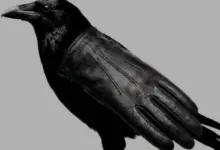 A primeira coisa que você vê nesta imagem revela sua personalidade? Entenda o que esse teste realmente pode dizer