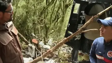Bombeiro das buscas por helicóptero de Rick faz revelação sobre o resgate